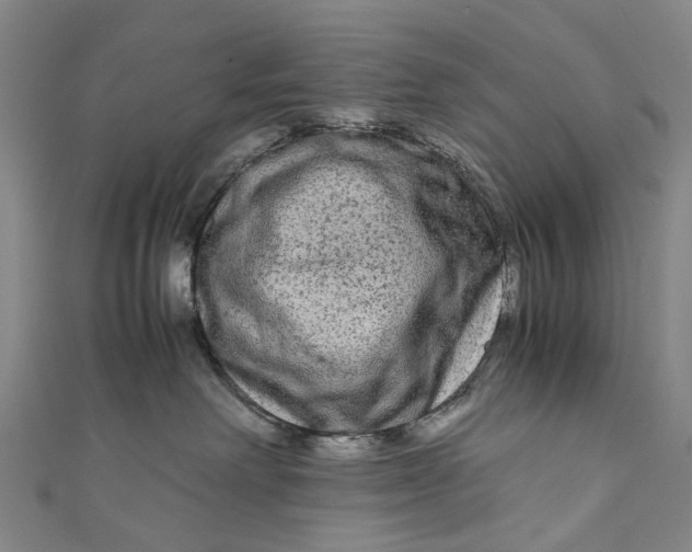 X0000110950238200907101313