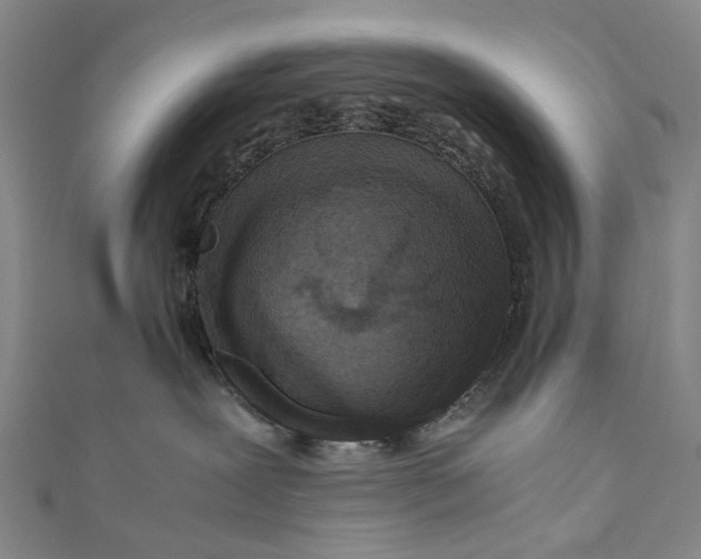 X0000110950239200907101313