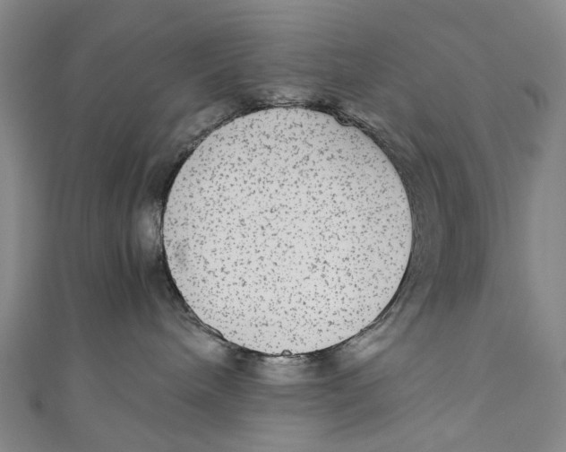 X0000110950240200907101313