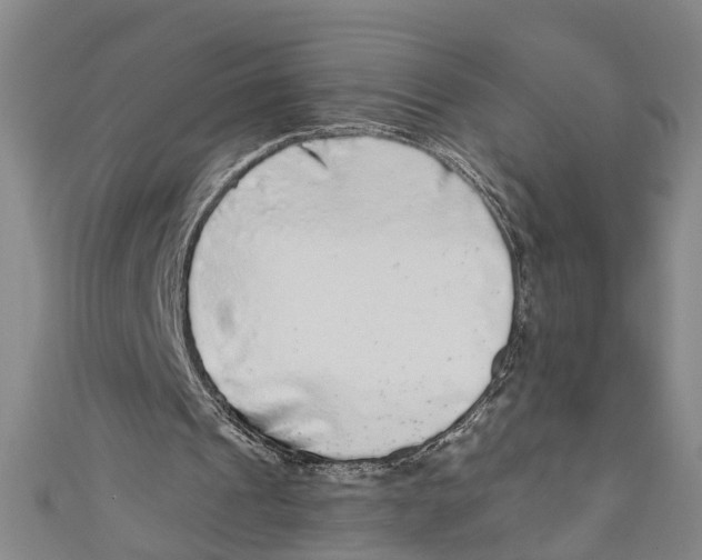 X0000110950241200907101313