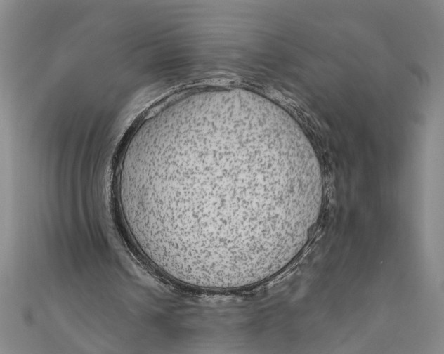 X0000110950242200907101313