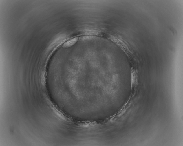 X0000110950243200907101313