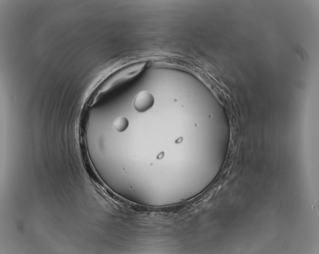 X0000110950244200907101313