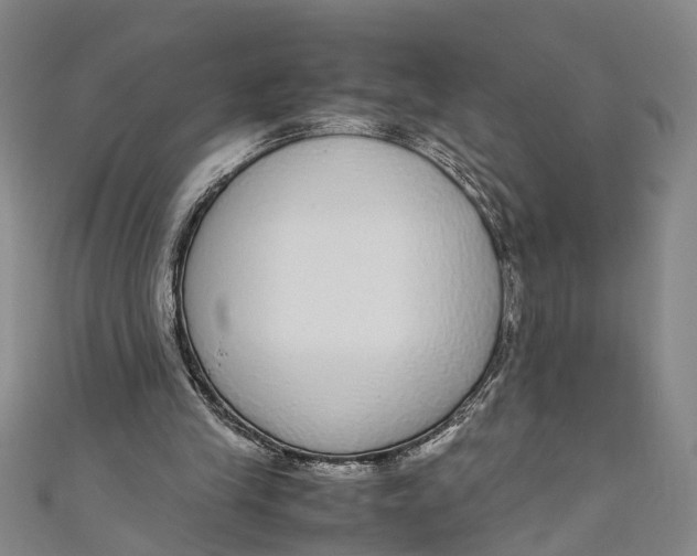 X0000110950245200907101313