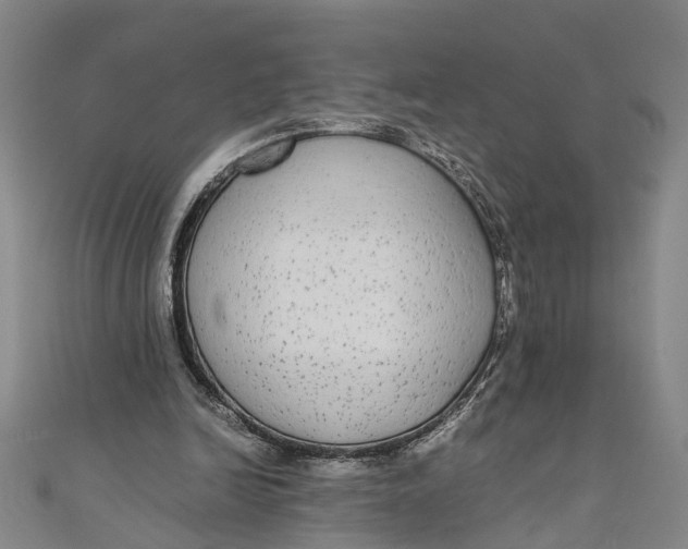 X0000110950246200907101313