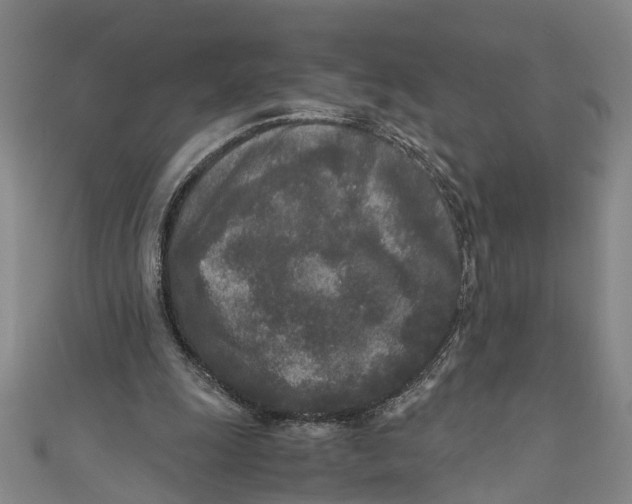 X0000110950247200907101313