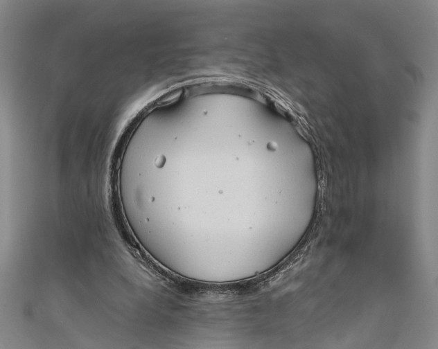 X0000110950248200907101313