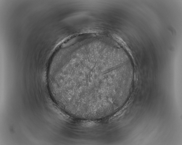 X0000110950249200907101313