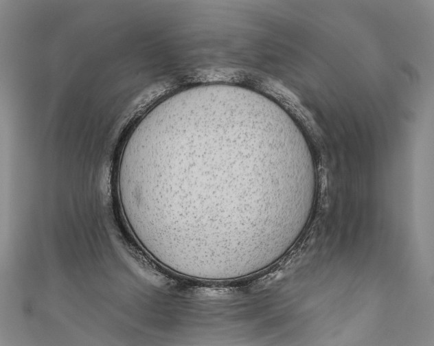 X0000110950250200907101313