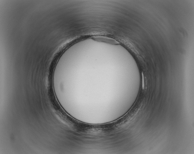 X0000110950252200907101313