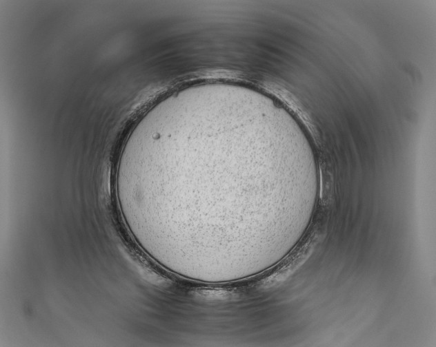 X0000110950253200907101313