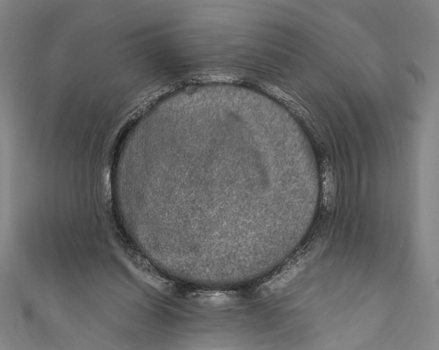 X0000110950254200907101313