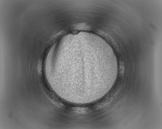 X0000110950255200907101313