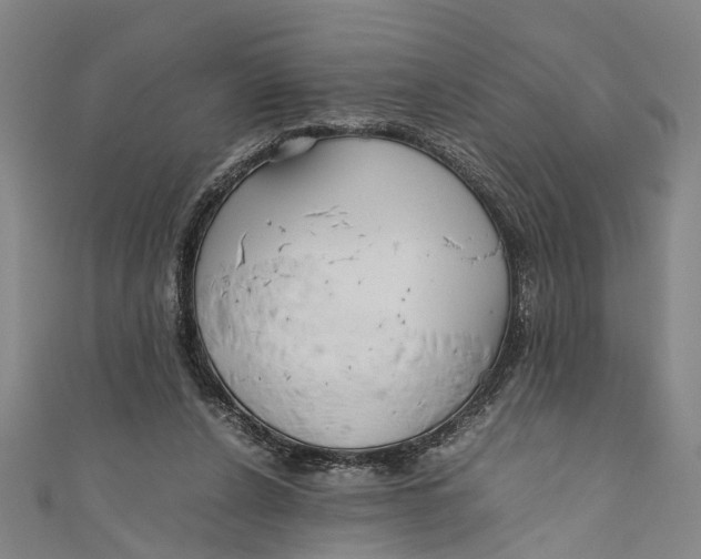 X0000110950256200907101313