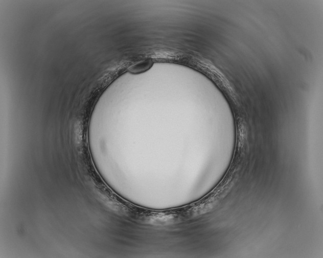 X0000110950257200907101313