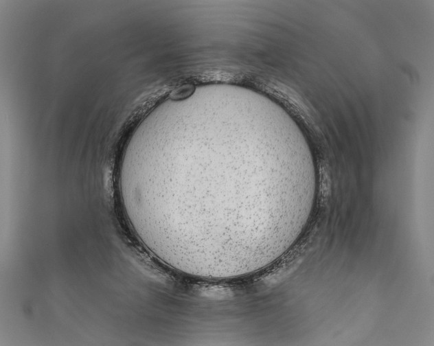 X0000110950258200907101313