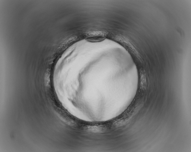 X0000110950259200907101313