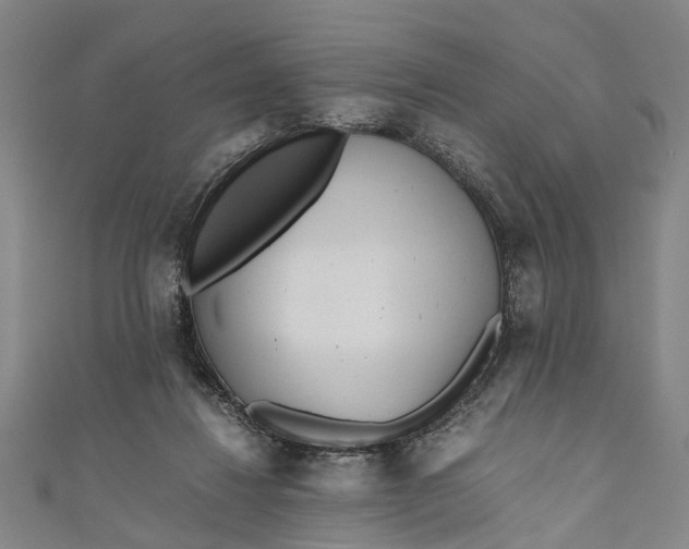 X0000110950260200907101313