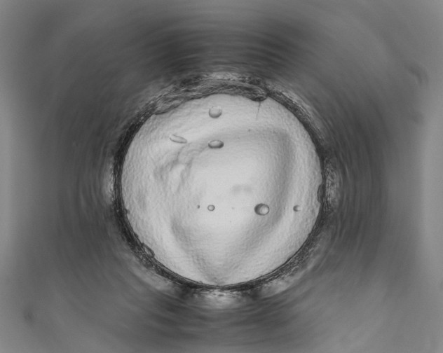 X0000110950261200907101313