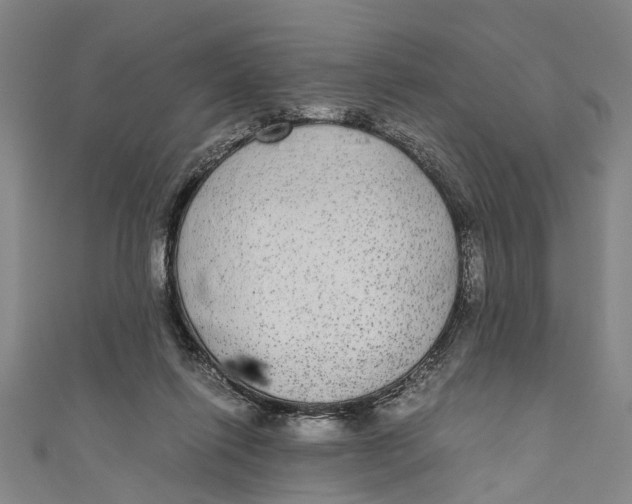 X0000110950262200907101313