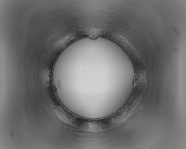 X0000110950264200907101313