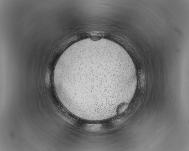 X0000110950266200907101313