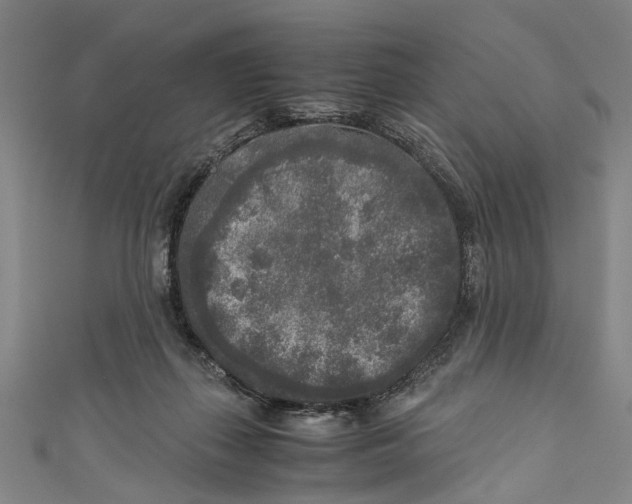 X0000110950267200907101313