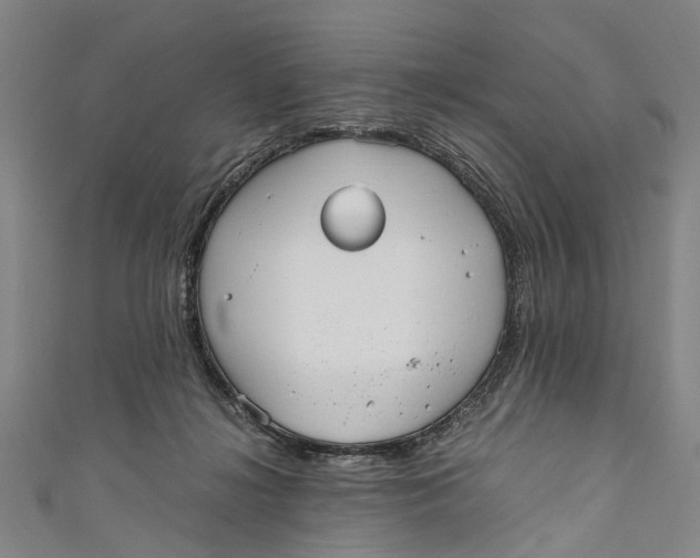 X0000110950268200907101313