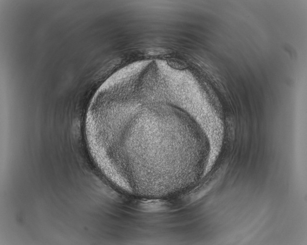 X0000110950269200907101313