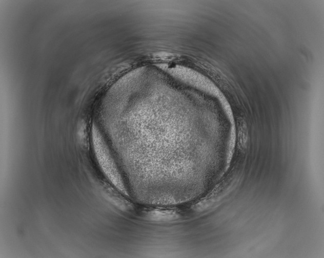 X0000110950270200907101313