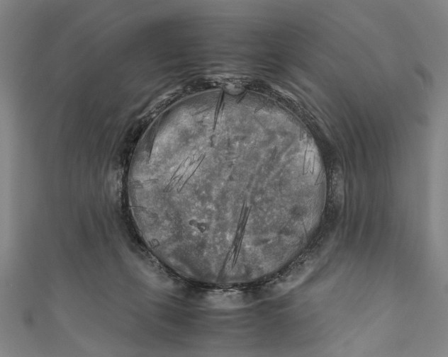 X0000110950271200907101313