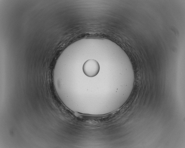 X0000110950272200907101313