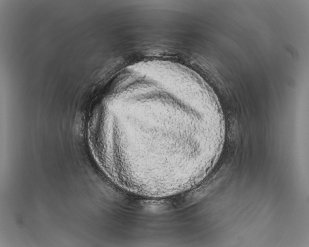 X0000110950273200907101313