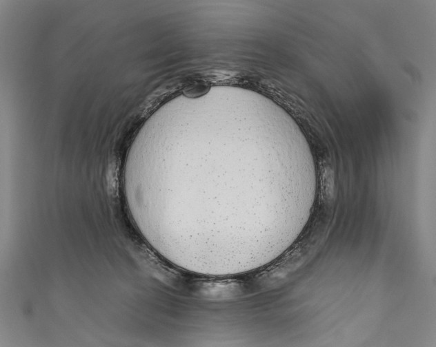 X0000110950274200907101313