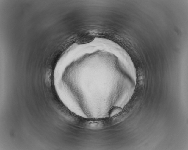 X0000110950275200907101313