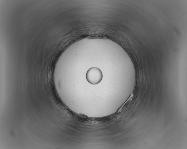 X0000110950276200907101313