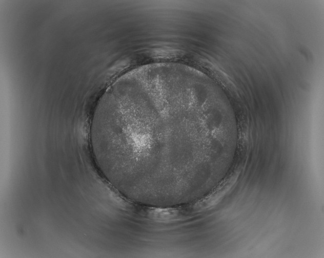 X0000110950277200907101313