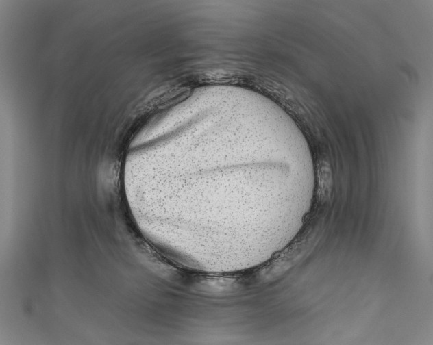 X0000110950278200907101313