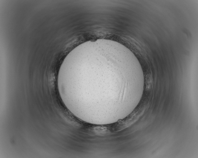 X0000110950279200907101313