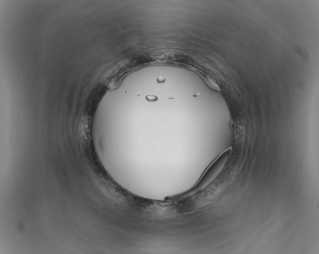 X0000110950280200907101313