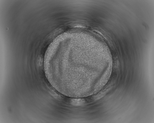 X0000110950281200907101313