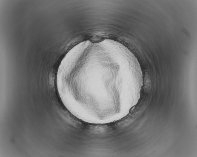 X0000110950282200907101313