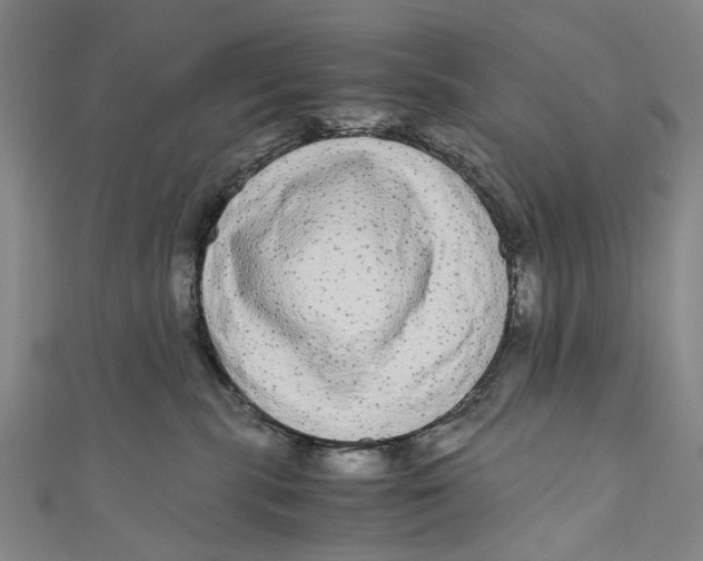 X0000110950283200907101313