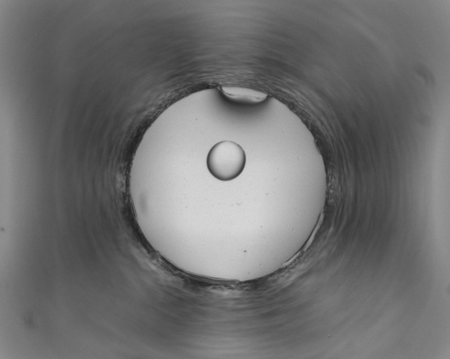 X0000110950284200907101313