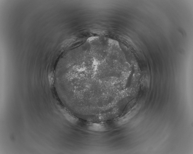 X0000110950285200907101313