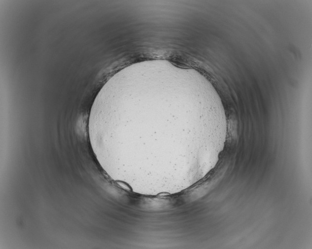 X0000110950286200907101313