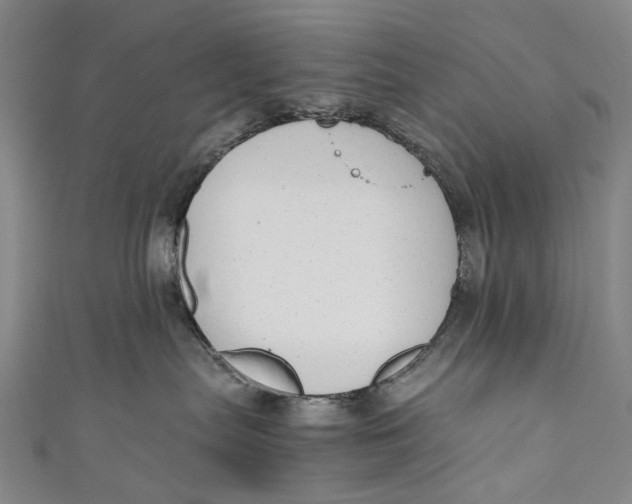 X0000110950287200907101313