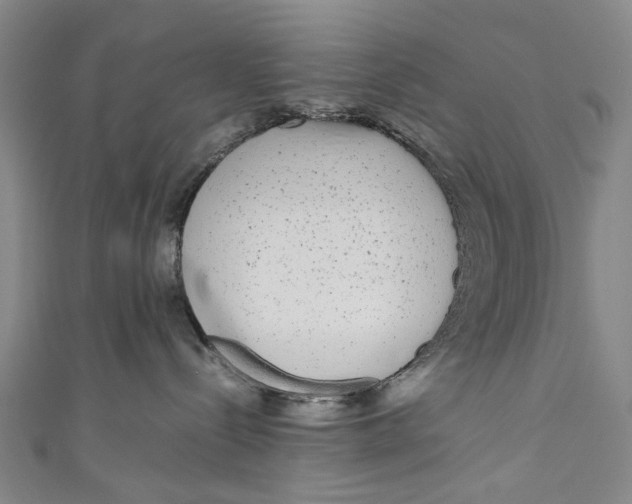 X0000110950288200907101313