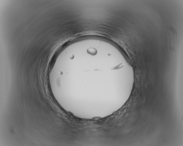 X0000110950289200907101313