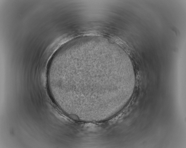 X0000110950290200907101313